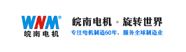 皖南电机